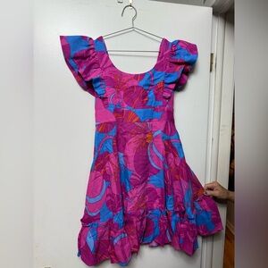 Tuckernuck Pink and Blue Floral Mini Dress